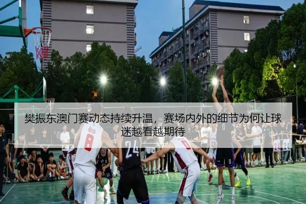 樊振东澳门赛动态持续升温，赛场内外的细节为何让球迷越看越期待